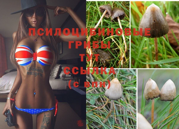 скорость Алексеевка