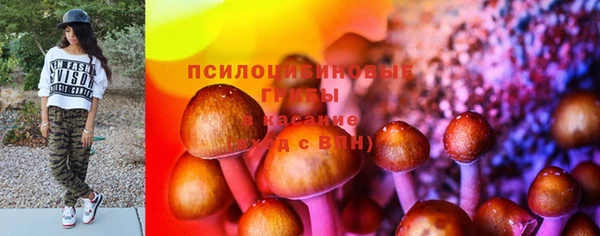 apvp Протвино